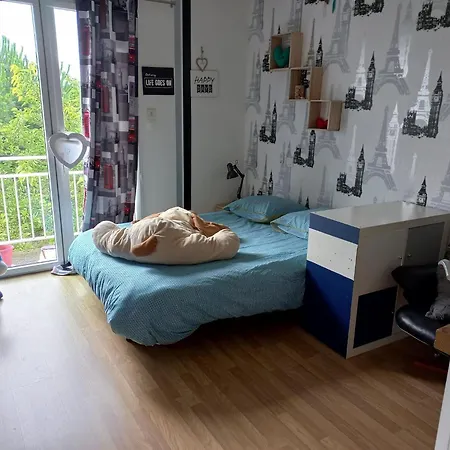 Cosy D'oudon ✰ Proche Baignade & Loire✰ Lejlighed Oudon