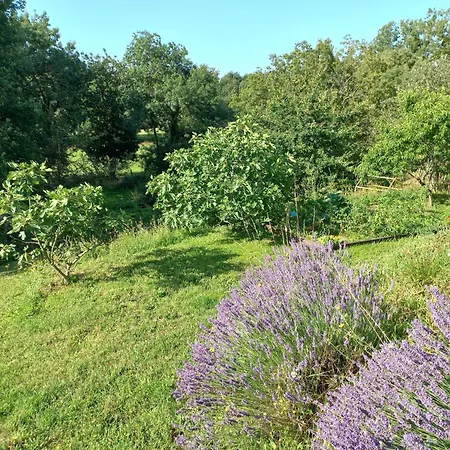 Cosy D'oudon ✰ Proche Baignade & Loire✰